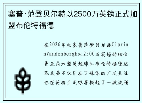 塞普·范登贝尔赫以2500万英镑正式加盟布伦特福德 塞普·范登贝尔赫以2500万英镑正式加盟布伦特福德
